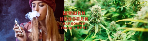 прущие грибы Пестово
