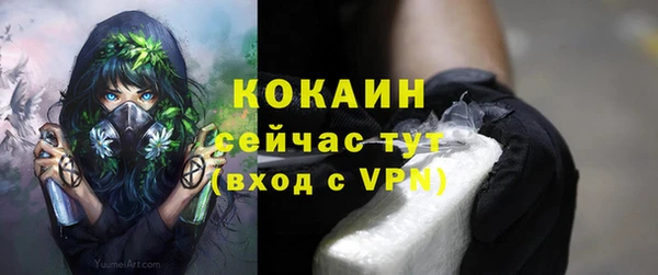 таблы Пересвет