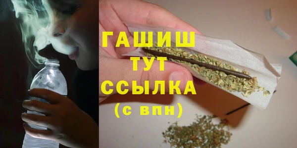 прущие грибы Пестово