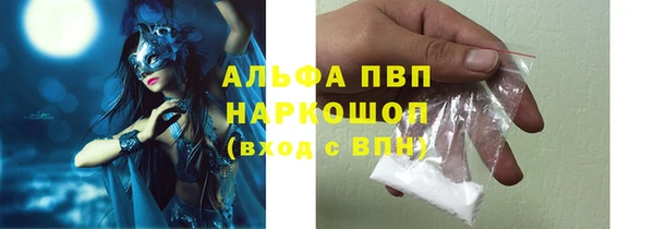 прущие грибы Пестово