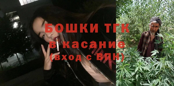 прущие грибы Пестово