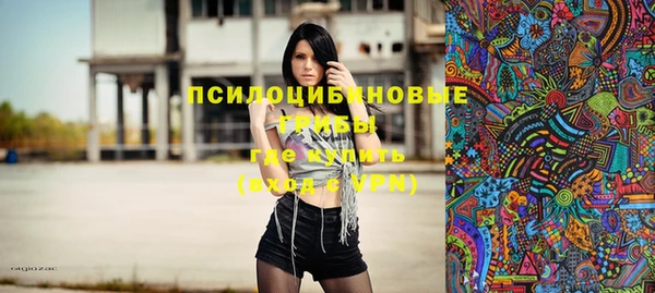 мяу мяу кристалл Переславль-Залесский