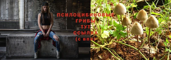 прущие грибы Пестово