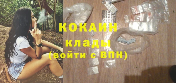 прущие грибы Пестово