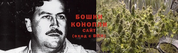 прущие грибы Пестово