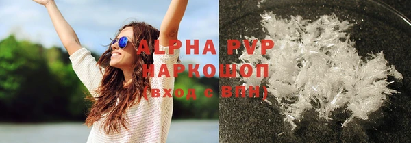 прущие грибы Пестово