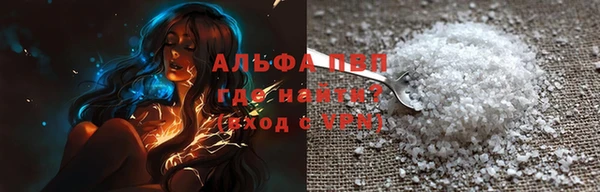 прущие грибы Пестово