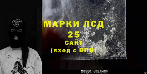 прущие грибы Пестово