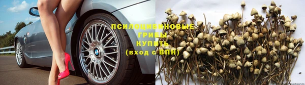таблы Пересвет