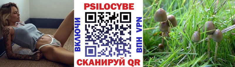 Псилоцибиновые грибы мицелий Бугуруслан