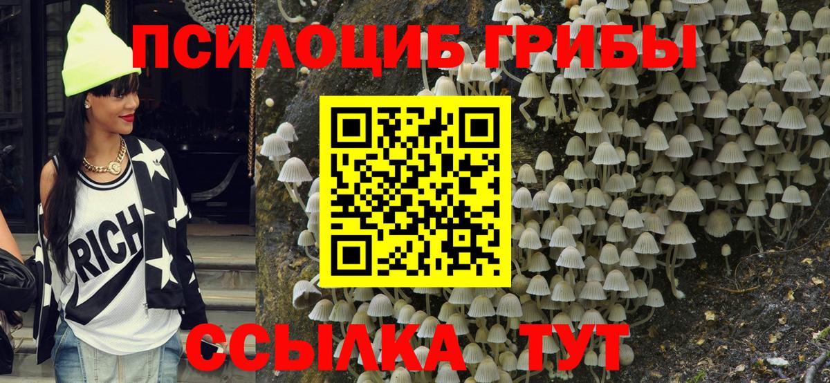 Псилоцибиновые грибы мицелий Бугуруслан