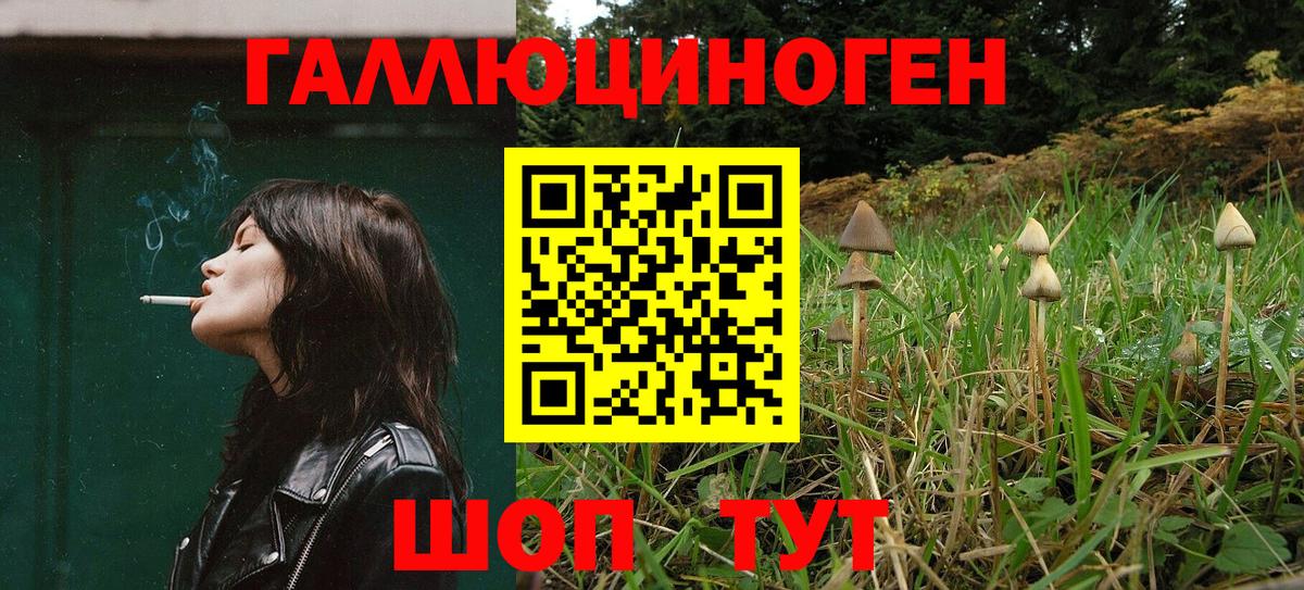Галлюциногенные грибы прущие грибы  Вход с VPN  Бугуруслан 