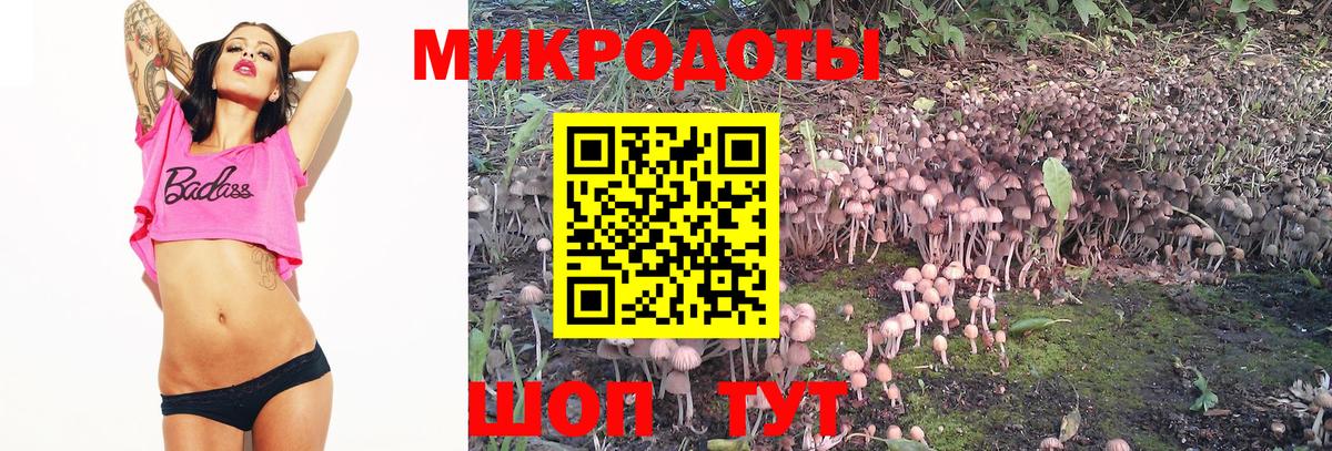 Псилоцибиновые грибы GOLDEN TEACHER  Бугуруслан 